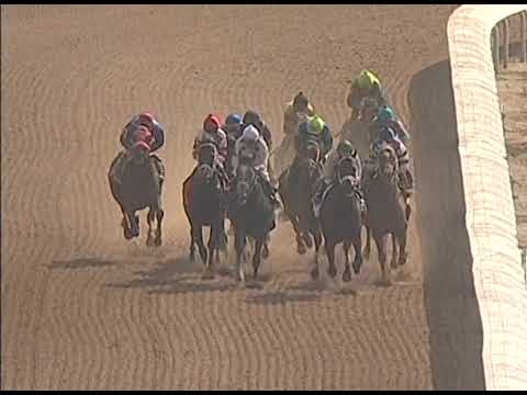 2010 Stephen Foster Replay - Blame