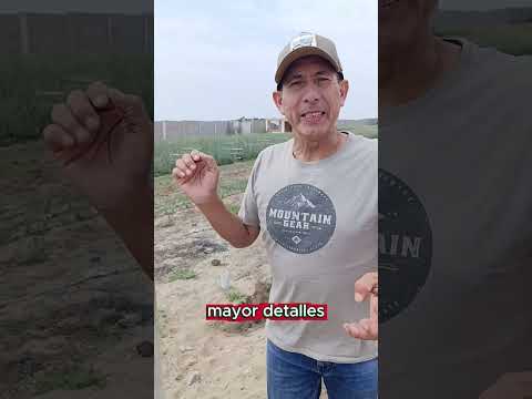 La gente me pregunta...¿Va a tener LUZ? 🏠🌳