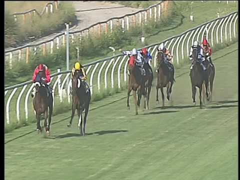 Galoppo 09/06/2017 - 4ª corsa