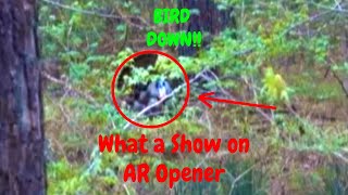 ARKANSAS TURKEY THRILLER!!