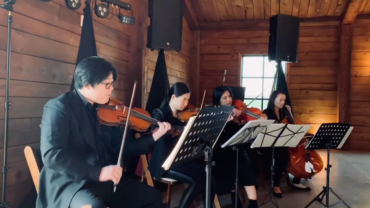 Promotional video thumbnail 2 for Dallas Asian Strings