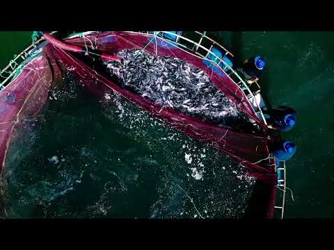 Investment attractiveness of Syrdarya