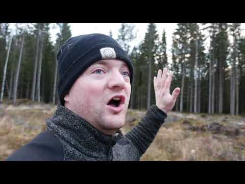 Wind Storm Again! | Managing Forest To Make It Storm Proof