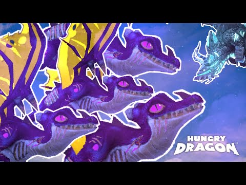 Mini umbra tournament | Hungry dragon