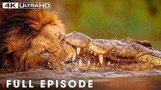 The Most Dangerous Predators of the Savannah | FULL EPISODE | Wildlife Documentary