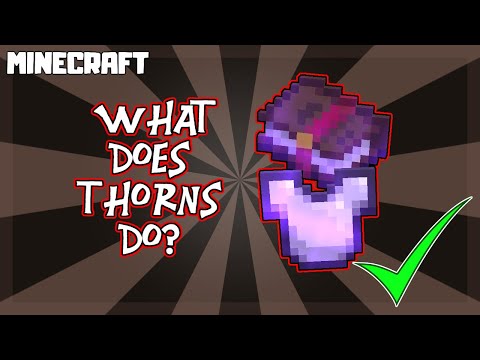 What THORNS Enchantment does in Minecraft?!
