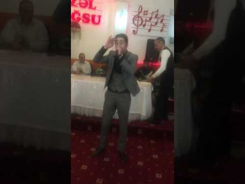 Reshad Sariyev - Seçmə şeirlər 2017