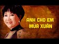Anh Cho Em Mùa Xuân Nhạc Nguyễn Hiền Thơ Kim Tuấn Lệ Thu