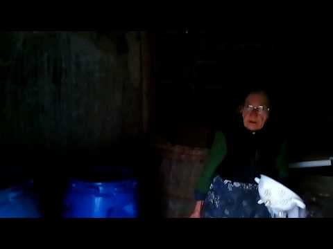 CRaiva jud Arad funny