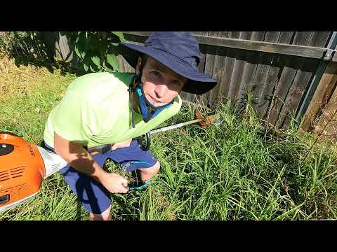 BIGGEST OVERGROWN YARD I'VE EVER CUT! It was SO THICK!