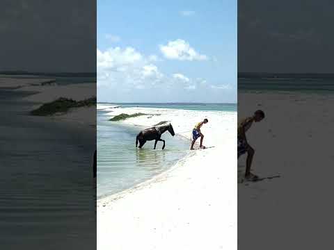 PONTA DE PEDRAS - PRAIA DO SÍTIO - PERNAMBUCO - BRASIL#shorts#short#shortvideo #shortsfeed#nordeste