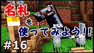 【初心者・マイクラ】馬に名前をつけてみよう!!