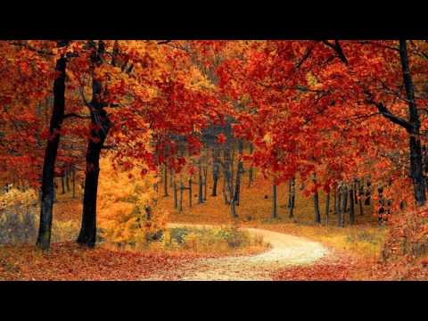 FLORIN STEFAN - PE DRUMUL CATRE PATRIA IUBIRII