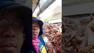 preview picture of video 'King Crab B-season 2018'