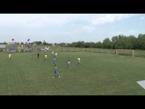Gol 1-0 , A.S Balta Doamnei - Tineretul Balta Doamnei