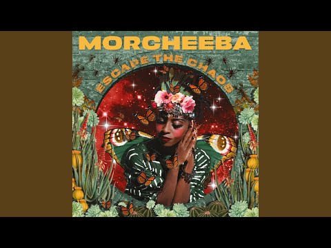 Morcheeba Escape the Chaos (2025) Audio CD (імпорт, буклет) - фото 8 - id-p2673088238