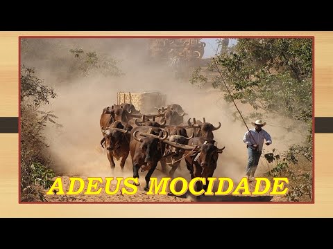 Adeus Mocidade - Eli Silva e Zé Goiano