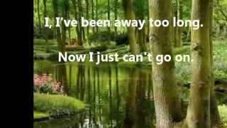 I&#39;ve Been Away Too Long - George Baker ( lyrics )