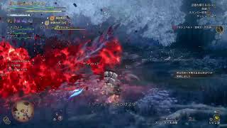 (声あり) モンスターハンターワイルズ　PS5　コメント歓迎です