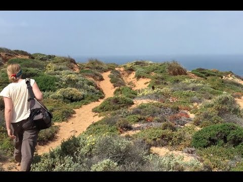 Introducing... our Lonely Planet Trailblazers!