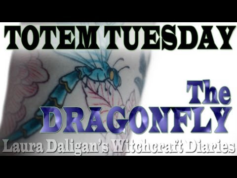 Totem Tuesday - The Dragonfly