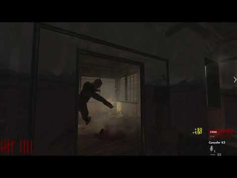 [WAW] Verruckt 2 Player First Room World Record