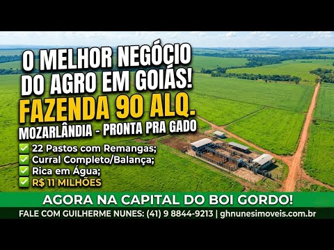 Fazenda à Venda em Mozarlândia - GO | 90 Alqueires | Estrutura Completa de Manejo
