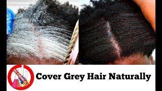 How To Turn White Or Grey Hair Into Black Naturally With No Chemicals Natural Hair Dye Step By Step