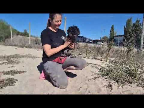 Vídeo de TRUFFLE