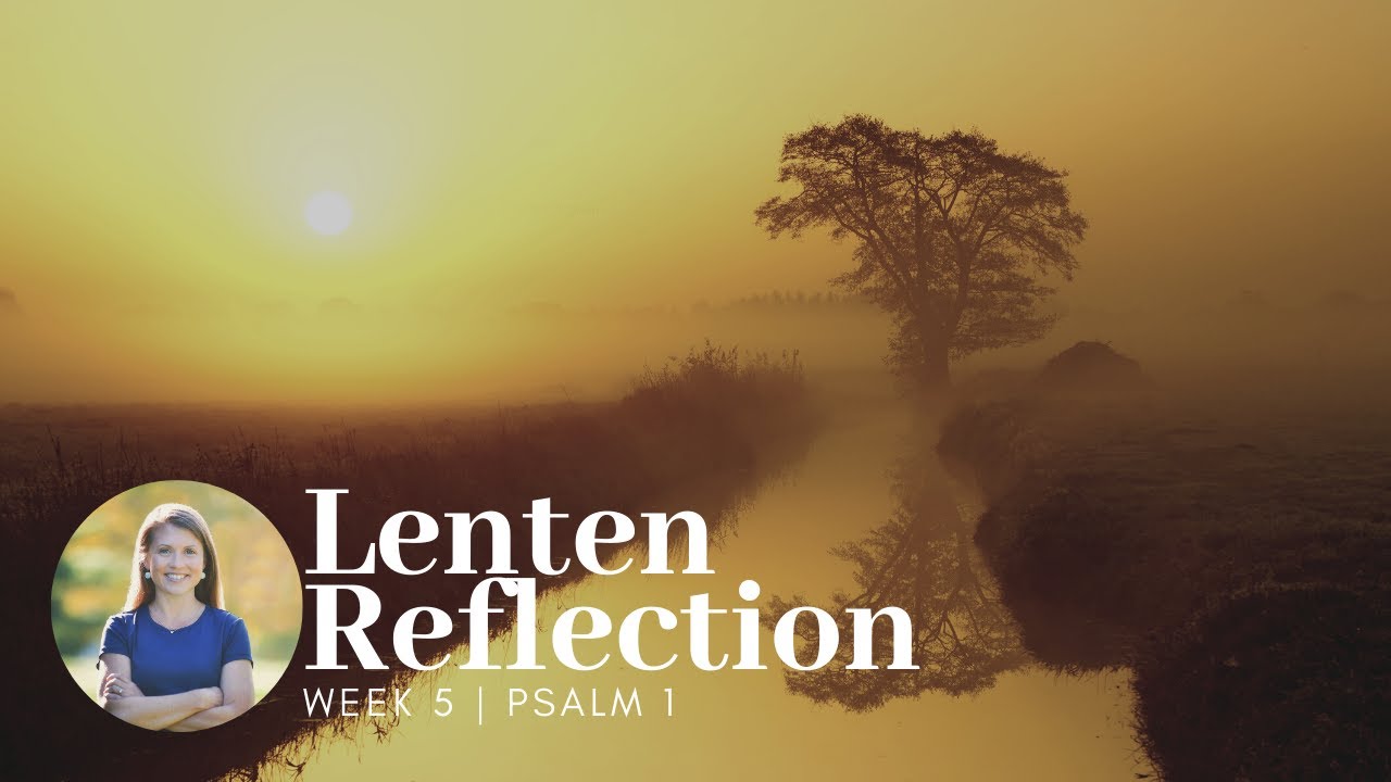 Lenten Reflection | Psalm 1