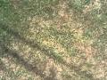 Kate Sick 7 085 MOV