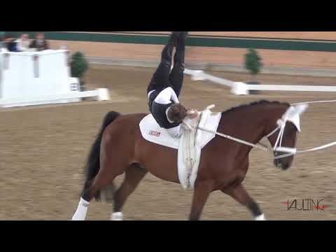 Daniel Harbeck (GER), CVIO Ebreichsdorf 2019