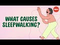 Gibberish Urine And Utter Chaos What Happens When You Sleepwalk Emmanuel During