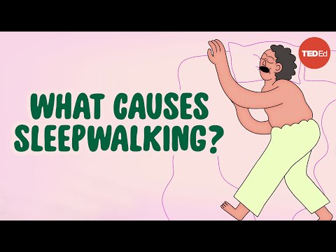 夢遊病者を起こすのは危険か？- Emmanuel During (Is it dangerous to wake a sleepwalker? - Emmanuel During)