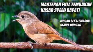 Download lagu FLAMBOYAN GACOR FULL NEMBAK NYERECET KASAR RAPAT NGEBREN BESETAN PANJANG UNTUK MASTERAN & PANCINGAN mp3 Download lagu FLAMBOYAN GACOR FULL NEMBAK NYERECET KASAR RAPAT NGEBREN BESETAN PANJANG UNTUK MASTERAN & PANCINGAN mp3