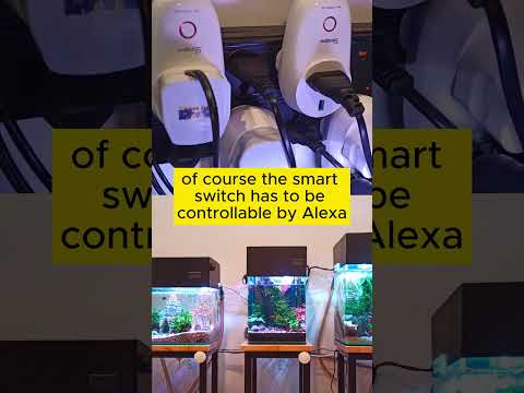 Automated Water Change System Intro