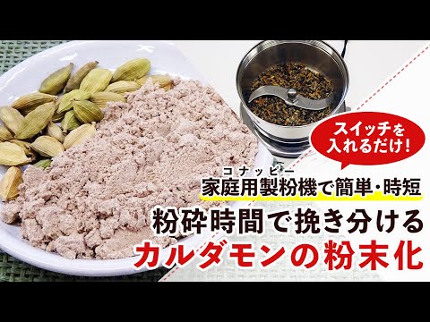 園芸 マラバーカルダモン、グリーンカルダモン