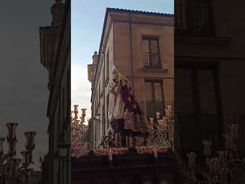 Llegada de la Virgen del Rosario a la Catedral Salamanca 2026 #semanasanta #viral #santavirgen #fyp