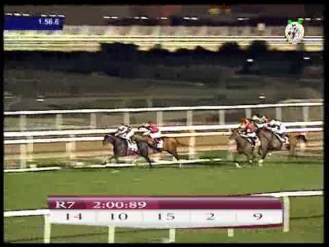 H.H. Sheikh Mohammed bin Khalifa Al Thani Trophy 2012, Gr.2