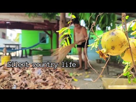 Simple life in the countryside of 🇬🇾 | My childhood home 🏡