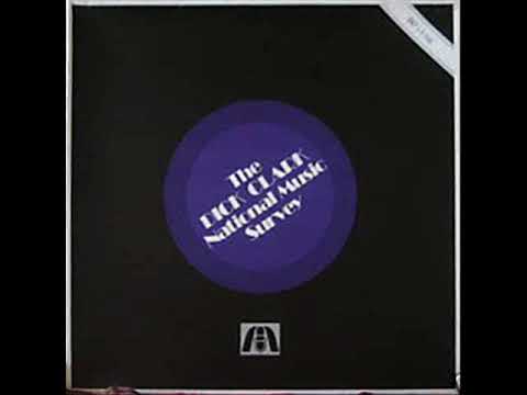 The Dick Clark National Music Survey (Promo)