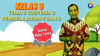 Kelas 6 Tema 2 Subtema 3 Pembelajaran 5 dan 6
