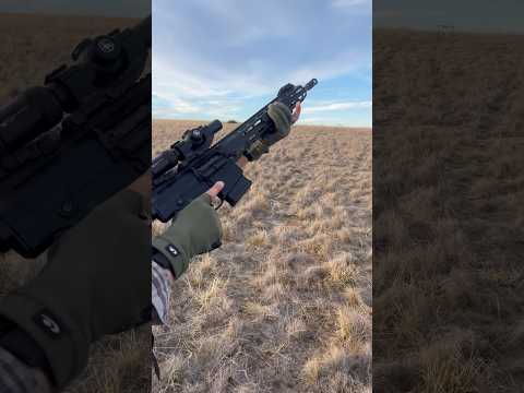 AR10 Pump Action - Communist Compliant 😅🎯 #pumpaction #ar10 #308 #dmr #cod #vortex