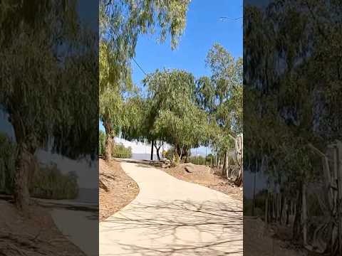 Av. San Francisco de Asís, Parque General San Martín #mendoza #argentina #shorts #cycling