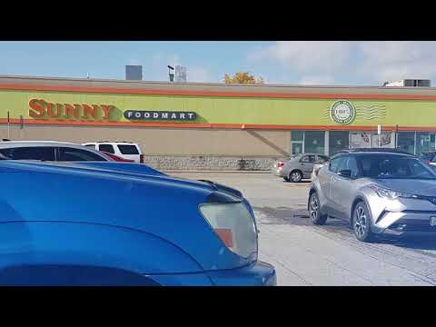 titan trail markham 1 bedroom basement apartment