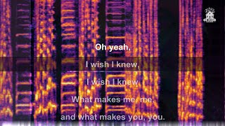 Cat Stevens - I Wish, I Wish (Karaoke)