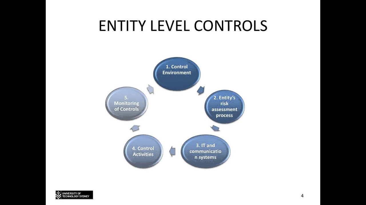 Topic 7 - Testing internal controls