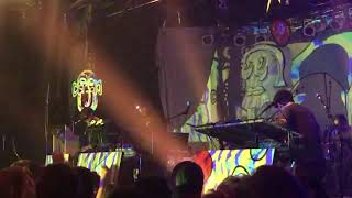Animal Collective   Lying in the Grass live at Cats Cradle