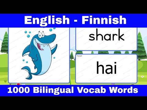 📌Learn English Finnish Vocabulary with Pictures for Beginners : Opi englannin suomen sanastoa