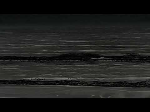 The Ending Note || The Moon Flower Project || Official Audio